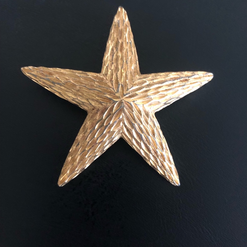 Antique star brooch